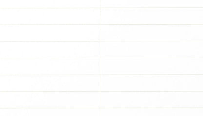 FIELD NOTES STENO PAD