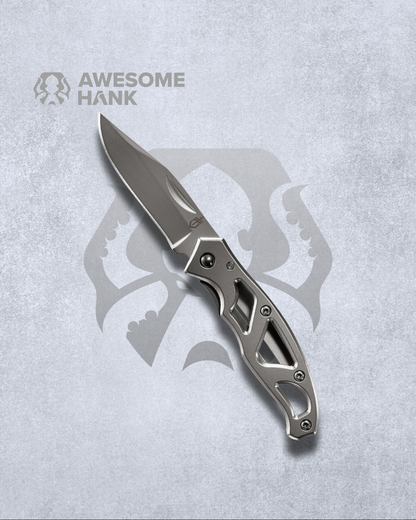 GERBER PARAFRAME MINI STAINLESS PLAIN EDGE